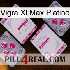 Vigra Xl Max Platinum 33